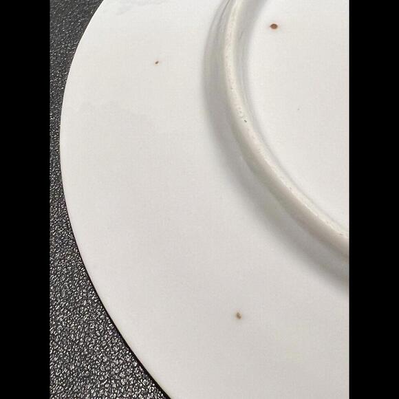 Steinmann Silesien Bavaria Vintage 1932-1938 Hand Painted Roses Grapes Plate 6.5 - Picture 10 of 11